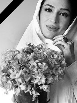 _MG_7370 copy