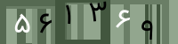 کد تصویری