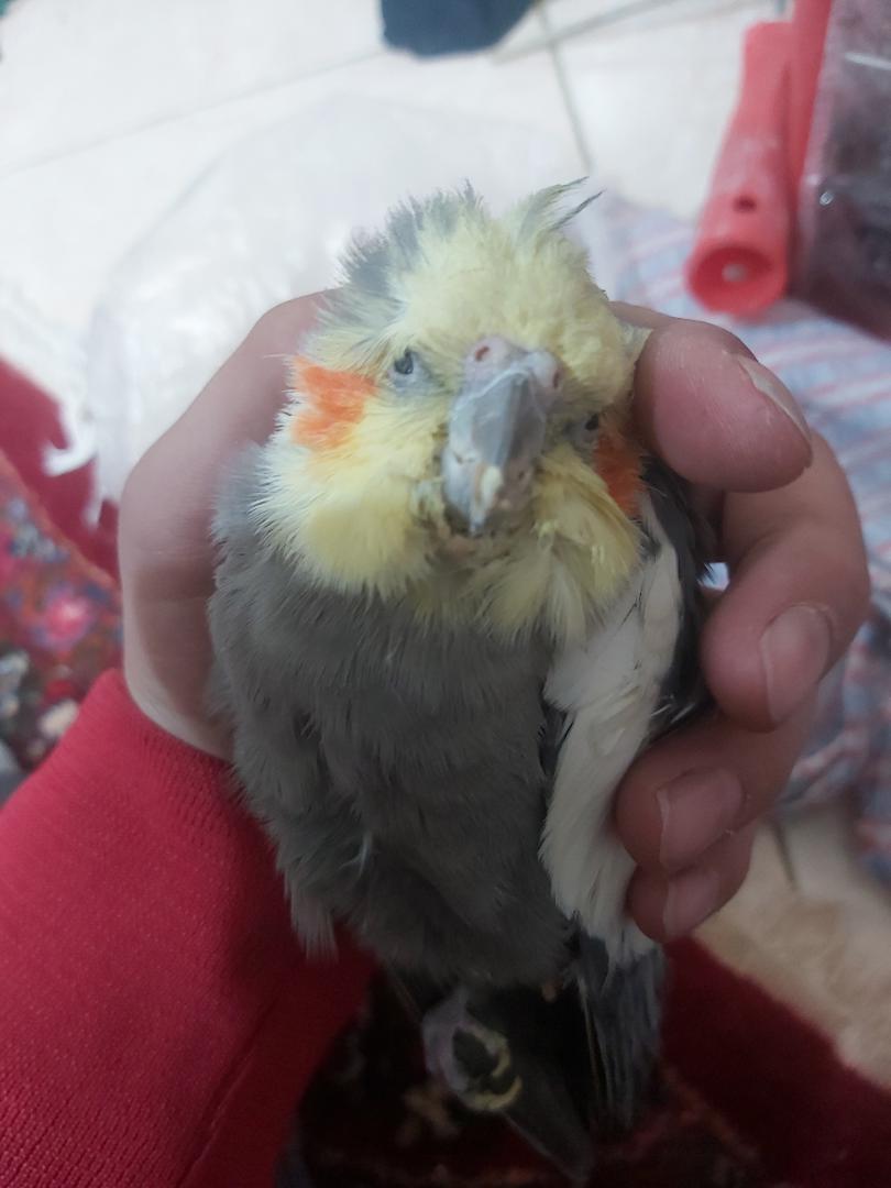 profile_image
